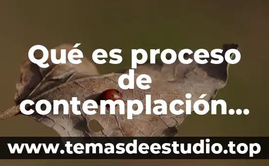 Que es el arte de poema 4 Qué es proceso de contemplación de arte