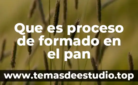 Qué es un proceso huecograbado 8 Que es proceso de formado en el pan