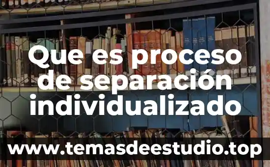 Que es un compuesto esquema con metodo de separacion 4 Que es proceso de separación individualizado
