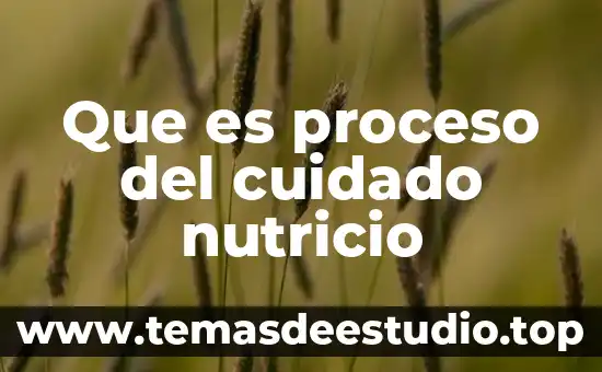 Que es proceso del cuidado nutricio