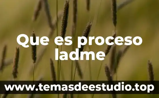 Que es la organizacion como proceso administrativo por 3 Que es proceso ladme