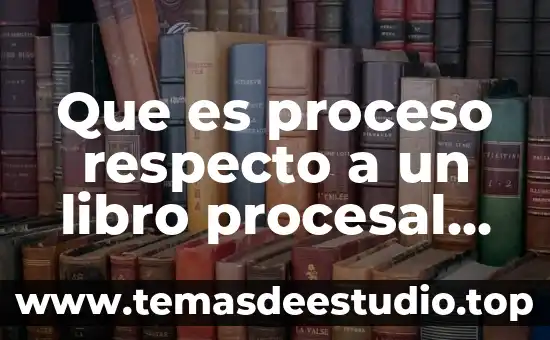 Que es proceso respecto a un libro procesal civil