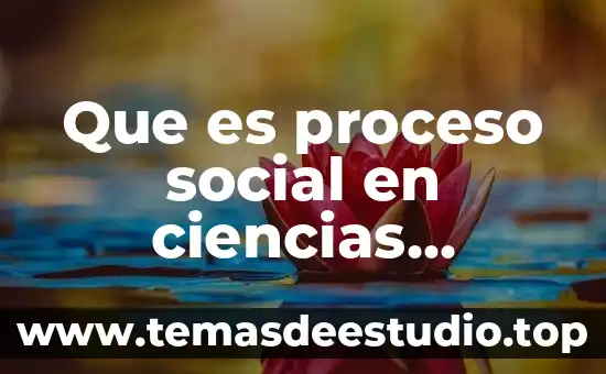 Que es proceso social en ciencias sociales