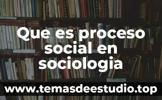 Que es proceso social en sociologia