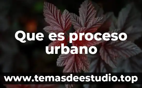 Qué es un proceso de preparación definición 3 Que es proceso urbano