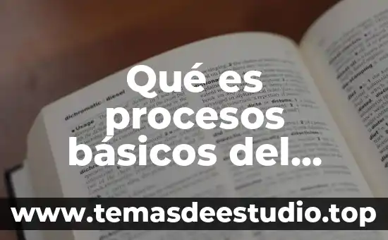 Qué es procesos básicos del pensamiento