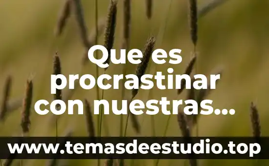 Que es curriculumcon mis propias palabras 8 Que es procrastinar con nuestras propias palabras