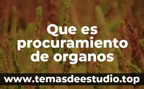 Que es el bienestar colectivo y ejemplos 7 Que es procuramiento de organos
