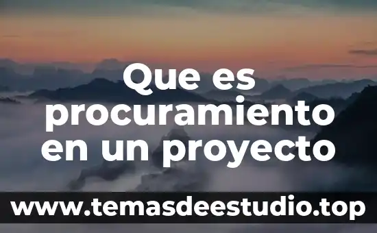 Qué es el incio de un proyecto 5 Que es procuramiento en un proyecto