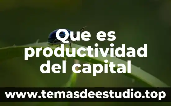 Que es productividad del capital