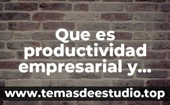 Para que es importante la productividad 3 Que es productividad empresarial y como se mide