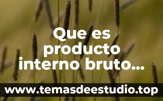 Que es producto interno bruto per capita de mexico