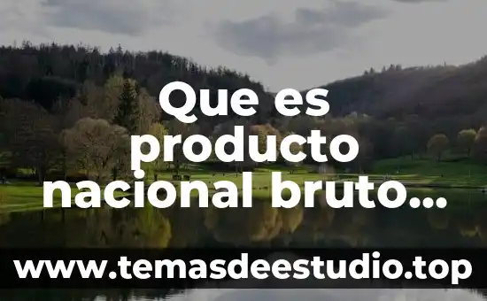 Que es producto nacional bruto y como se mide
