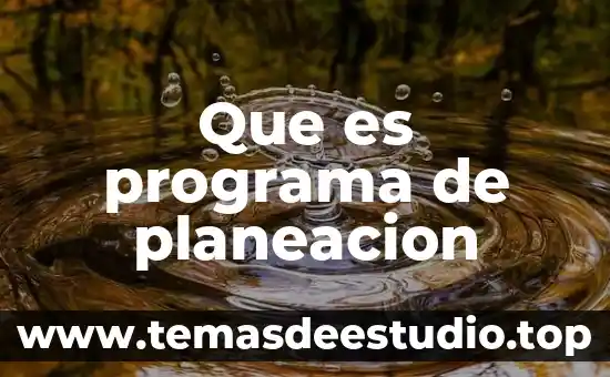 Que es el programa de pensamiento productivo 8 Que es programa de planeacion