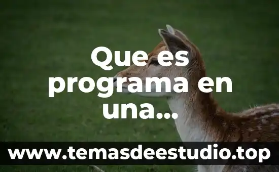 Que es significa bios de una computadora 7 Que es programa en una computadora