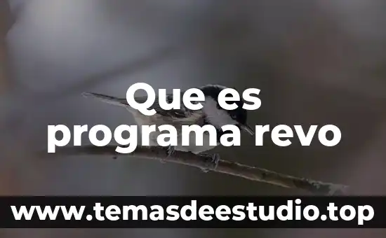 Que es gestion hospitalaria concepto 3 Que es programa revo