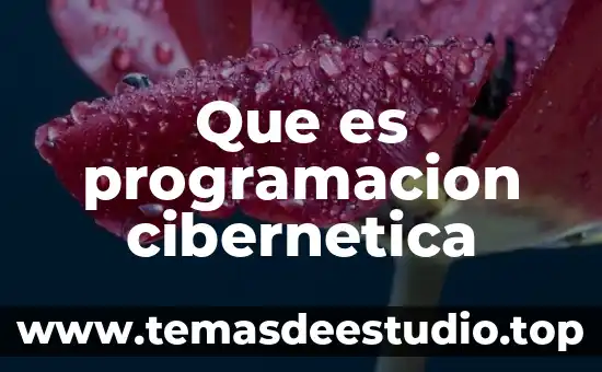 Qué es un supar en programación 3 Que es programacion cibernetica