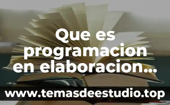 Que es la politica de presupuestos 7 Que es programacion en elaboracion de presupuestos