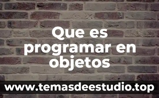 Que es persistencia de objetos 7 Que es programar en objetos