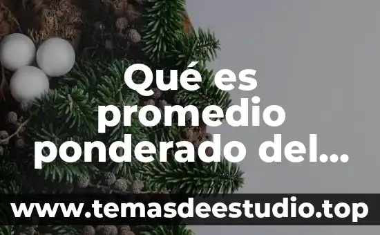 Palabra que significa que es propio de una algo 7 Qué es promedio ponderado del índice propio y del mercado