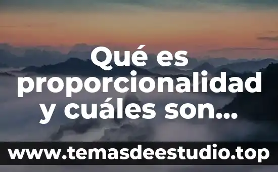 Qué es proporcionalidad y cuáles son sus partes