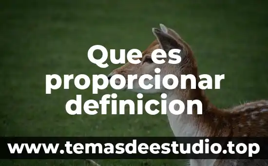 Qué es un perfil de ingreso definición 5 Que es proporcionar definicion