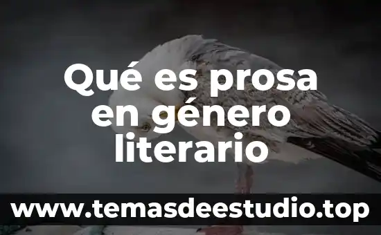 Que es la subjetividad del ensayo literario 4 Qué es prosa en género literario