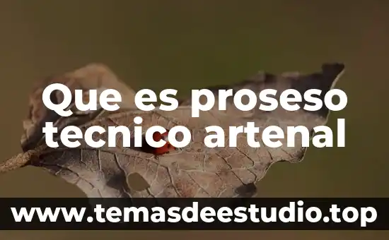 Que es un tecnico de pruebas 5 Que es proseso tecnico artenal