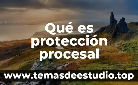 Protección civil para qué es 6 Qué es protección procesal