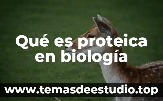 Biologia que es eco sufijo griego 4 Qué es proteica en biología