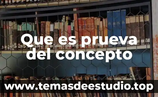 Que es prueva del concepto