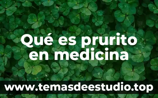 Qué es medicina interna general 4 Qué es prurito en medicina