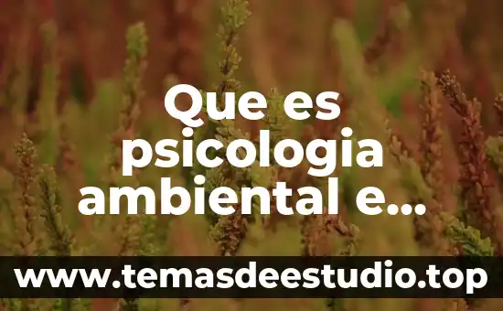 En psicología que es la conciencia 3 Que es psicologia ambiental e hostoria
