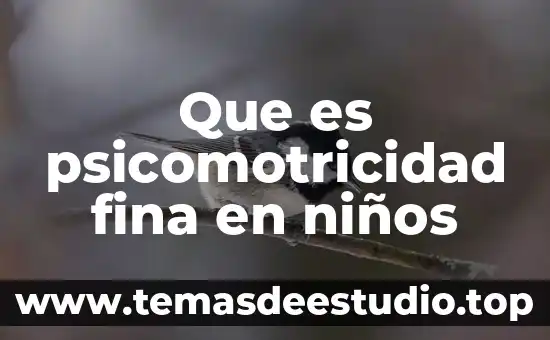Define que es un movimiento involuntario 4 Que es psicomotricidad fina en niños
