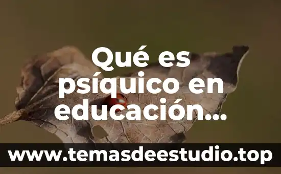 Que es la ley de cultura fisica y del deporte 5 Qué es psíquico en educación física