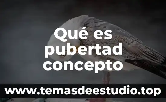 Que es homofobia concepto 6 Qué es pubertad concepto