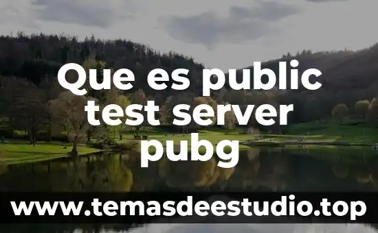 Para que es private o public en vba 5 Que es public test server pubg