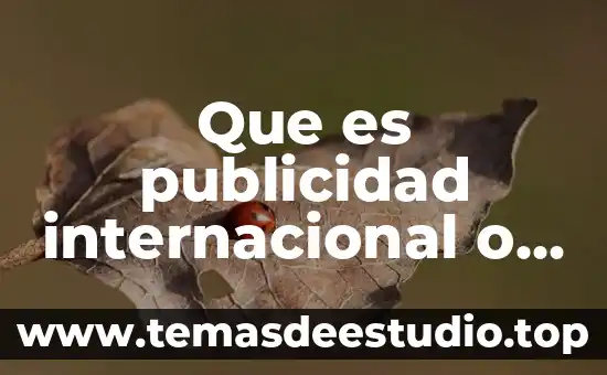 Que es publicidad internacional o multinacional