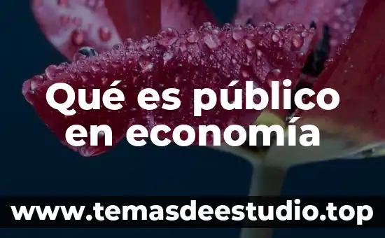 Qué es el output en economía 5 Qué es público en economía