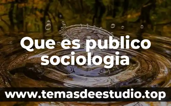 Que es la sociologia de la historia 4 Que es publico sociologia