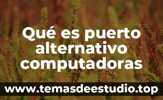 Qué es puerto alternativo computadoras