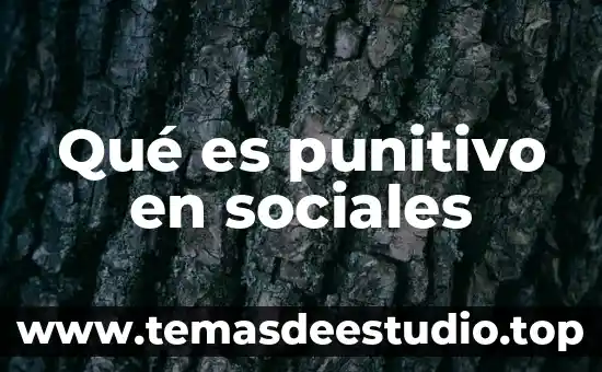 Que es clandestino sociales 3 Qué es punitivo en sociales