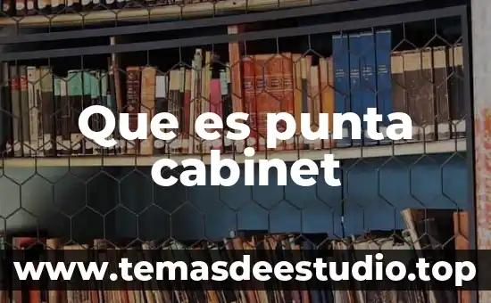 Que es punta cabinet