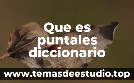 Que es iletradas diccionario 3 Que es puntales diccionario