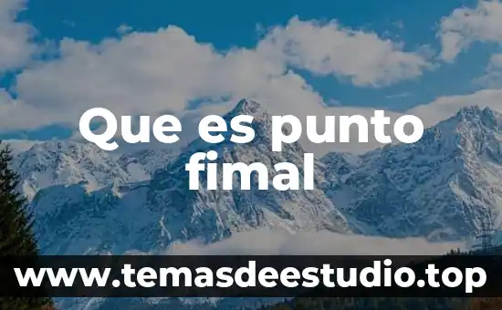 Que es punto fimal
