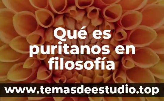 Qué es puritanos en filosofía