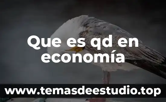 Que es qd en economía