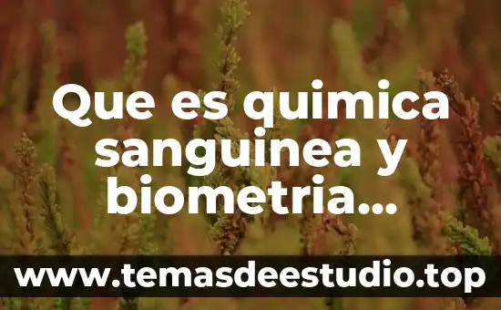 Que es la biometria hematica resumen 5 Que es quimica sanguinea y biometria he.cosmética