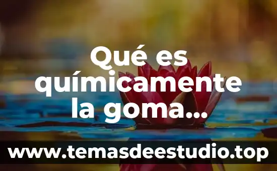 Qué es químicamente la goma arábica