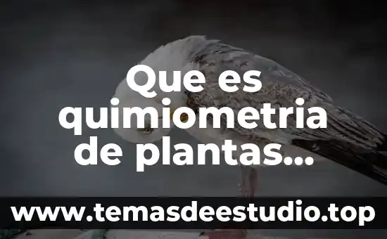 Que es el ciclo circadiano de las plantas 3 Que es quimiometria de plantas medicinales